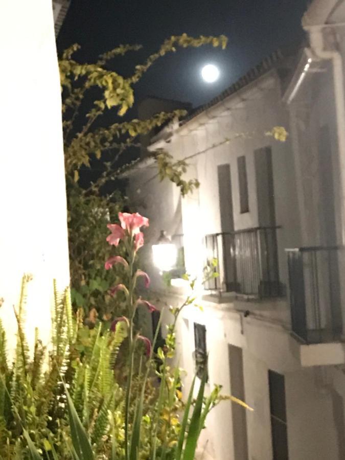 Country house El Corralon *
